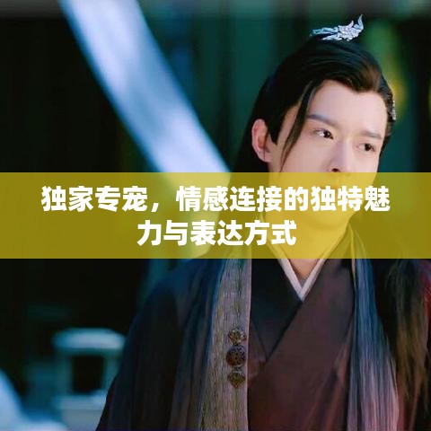 独家专宠，情感连接的独特魅力与表达方式