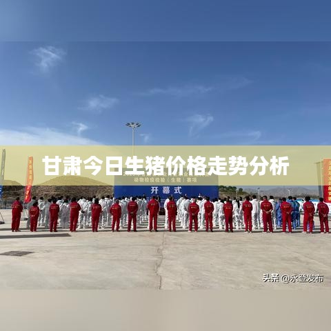 甘肃今日生猪价格走势分析
