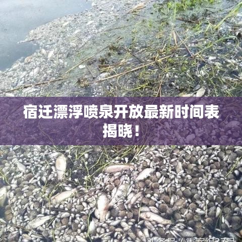 宿迁漂浮喷泉开放最新时间表揭晓！