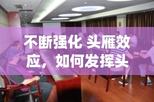 不断强化 头雁效应，如何发挥头雁效应 