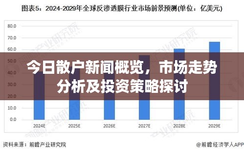 今日散户新闻概览，市场走势分析及投资策略探讨