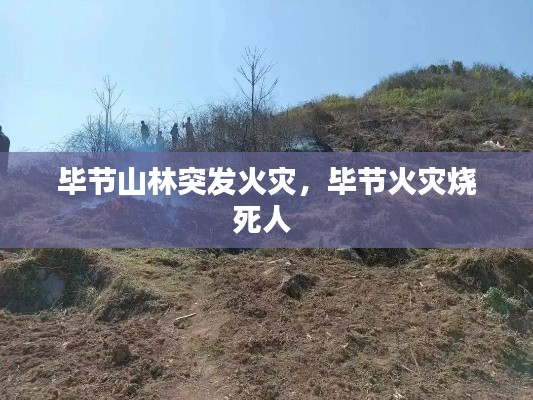 毕节山林突发火灾，毕节火灾烧死人 