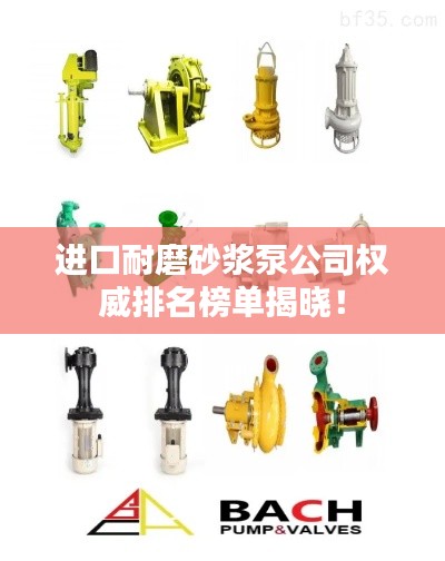 进口耐磨砂浆泵公司权威排名榜单揭晓！