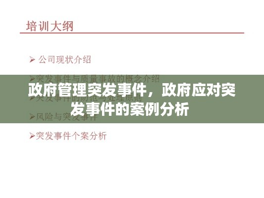 政府管理突发事件，政府应对突发事件的案例分析 