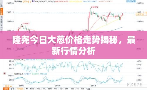 隆尧今日大葱价格走势揭秘，最新行情分析