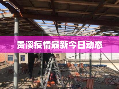贵溪疫情最新今日动态