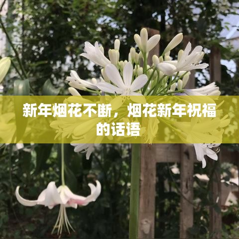 新年烟花不断，烟花新年祝福的话语 