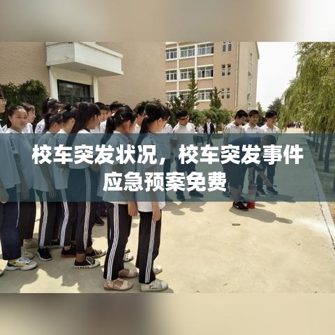 校车突发状况，校车突发事件应急预案免费 