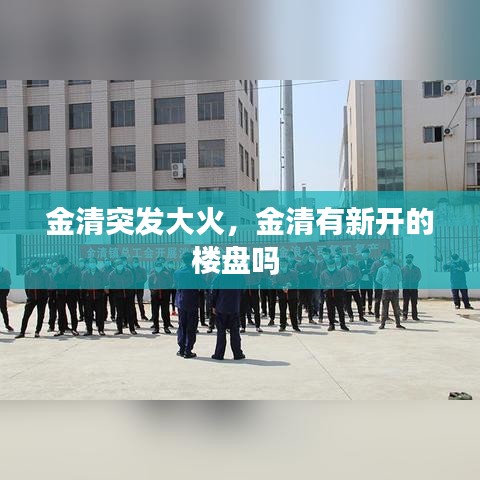 金清突发大火，金清有新开的楼盘吗 