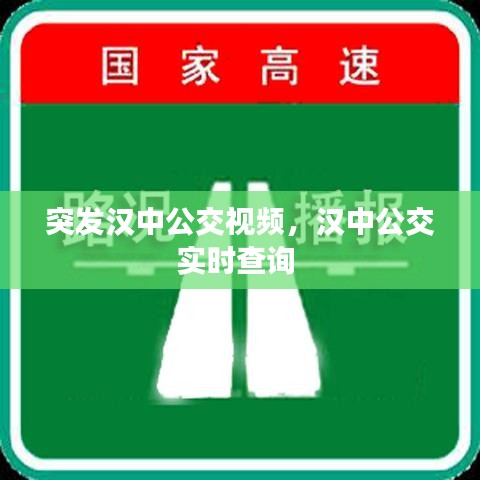 突发汉中公交视频，汉中公交实时查询 
