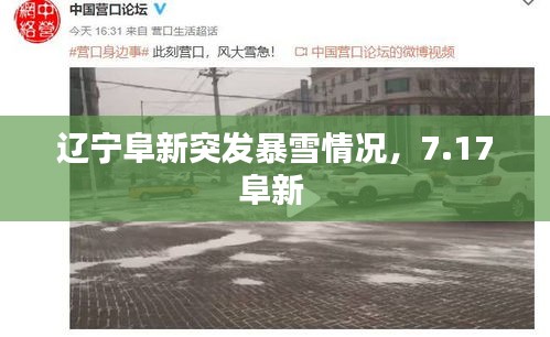 辽宁阜新突发暴雪情况，7.17阜新 