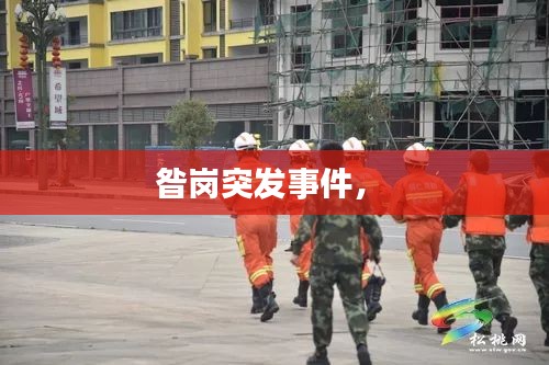 昝岗突发事件， 