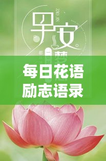 每日花语励志语录，简短鼓舞人心的话语精选