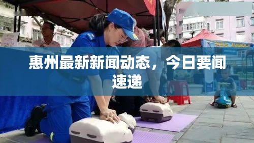 惠州最新新闻动态，今日要闻速递