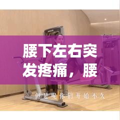 鸷鸟不群 第2页