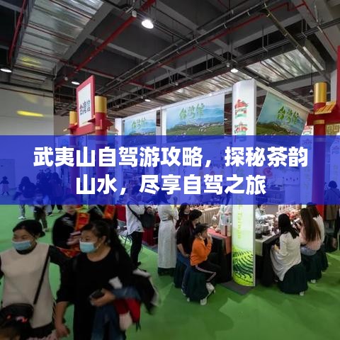 武夷山自驾游攻略，探秘茶韵山水，尽享自驾之旅