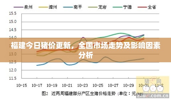 福建今日猪价更新，全国市场走势及影响因素分析