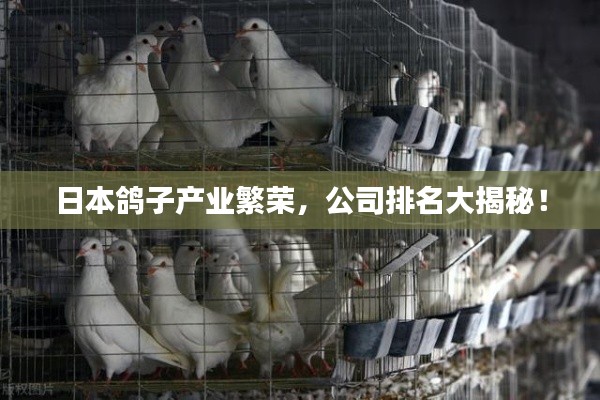 日本鸽子产业繁荣，公司排名大揭秘！