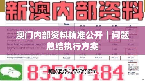 澳门内部资料精准公开｜问题总结执行方案