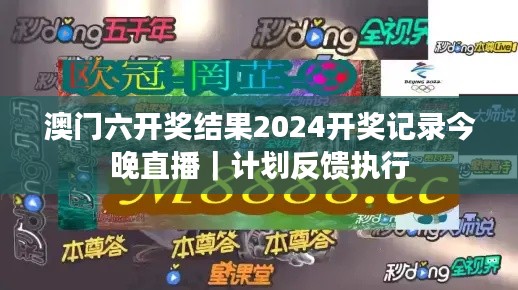 澳门六开奖结果2024开奖记录今晚直播｜计划反馈执行