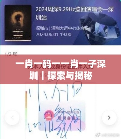 一肖一码一一肖一子深圳｜探索与揭秘