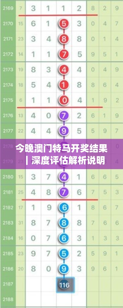 今晚澳门特马开奖结果｜深度评估解析说明
