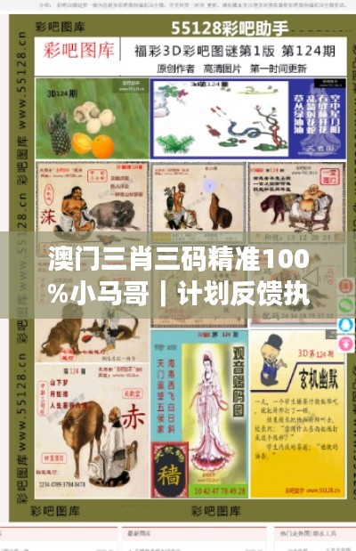 澳门三肖三码精准100%小马哥｜计划反馈执行
