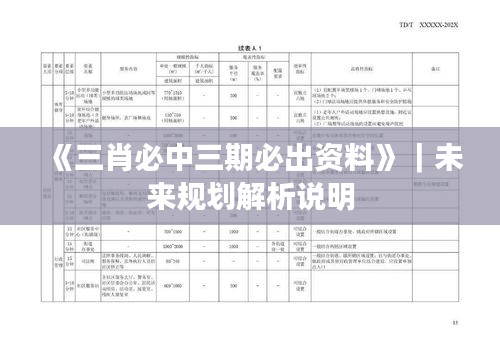 《三肖必中三期必出资料》｜未来规划解析说明