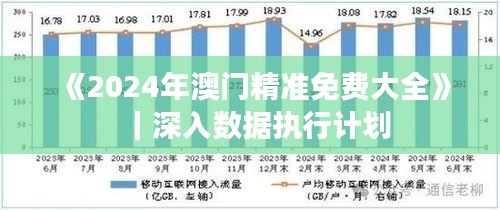 《2024年澳门精准免费大全》｜深入数据执行计划