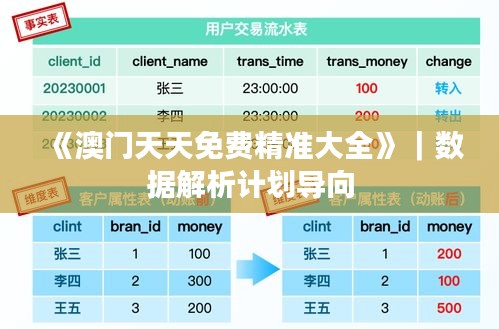 《澳门天天免费精准大全》｜数据解析计划导向