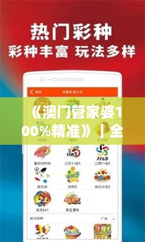 《澳门管家婆100%精准》｜全面解析与深度体验
