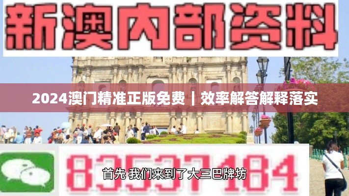2024澳门精准正版免费｜效率解答解释落实