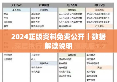 2024正版资料免费公开｜数据解读说明