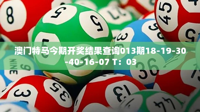 澳门特马今期开奖结果查询013期18-19-30-40-16-07 T：03