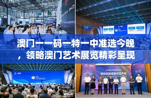 澳门一一码一特一中准选今晚，领略澳门艺术展览精彩呈现