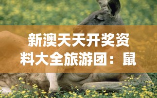 新澳天天开奖资料大全旅游团：鼠、鸡、猴、狗，免费资料