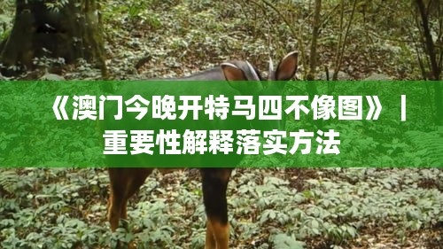 《澳门今晚开特马四不像图》｜重要性解释落实方法