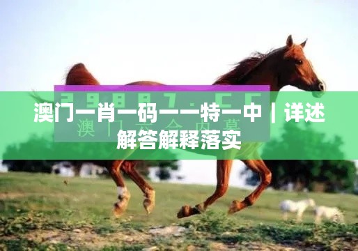 澳门一肖一码一一特一中｜详述解答解释落实