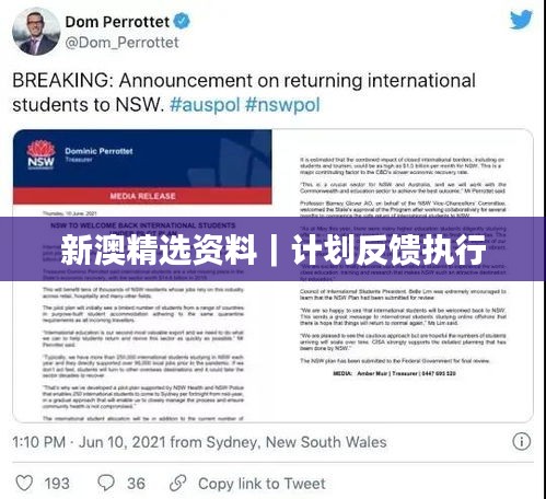 新澳精选资料｜计划反馈执行