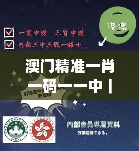 澳门精准一肖一码一一中｜诠释说明解析