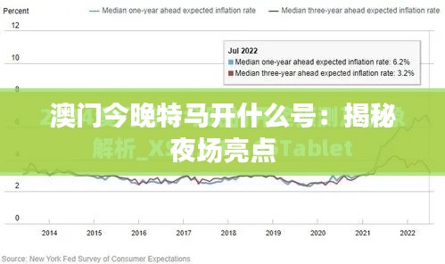 澳门今晚特马开什么号：揭秘夜场亮点