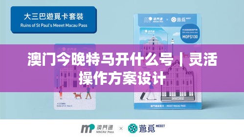 澳门今晚特马开什么号｜灵活操作方案设计