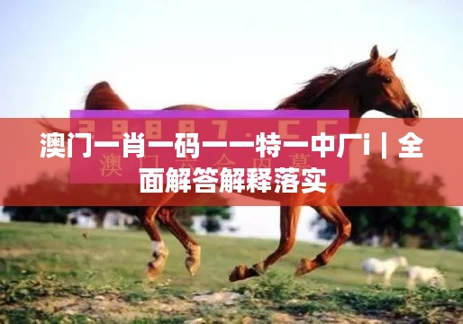 澳门一肖一码一一特一中厂i｜全面解答解释落实