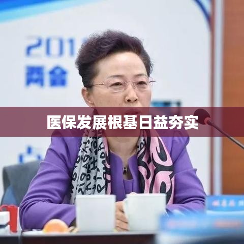 医保发展根基日益夯实