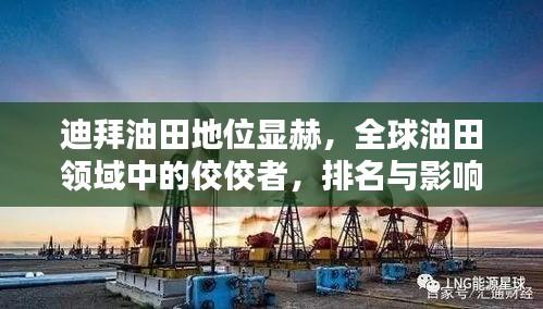 迪拜油田地位显赫，全球油田领域中的佼佼者，排名与影响力揭秘