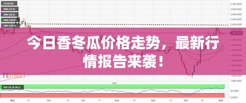今日香冬瓜价格走势，最新行情报告来袭！