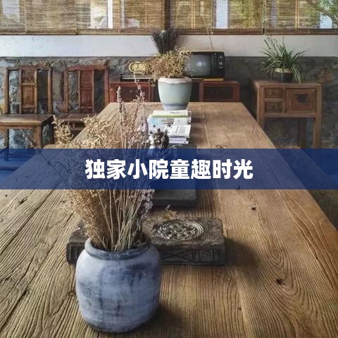 独家小院童趣时光
