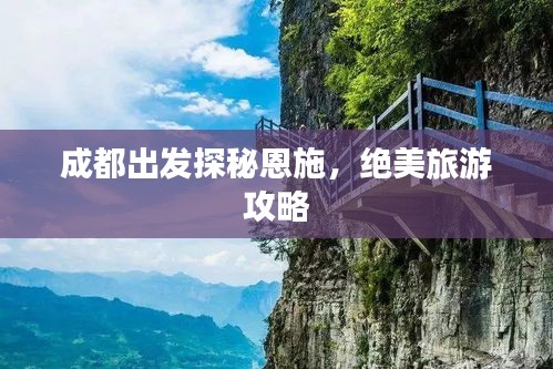 望其项背 第2页