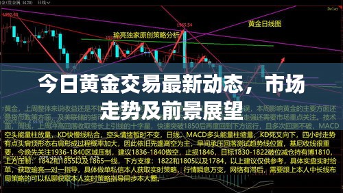 今日黄金交易最新动态，市场走势及前景展望