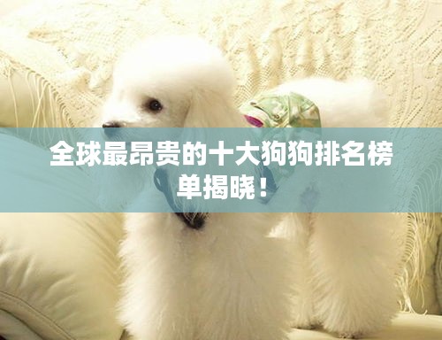 全球最昂贵的十大狗狗排名榜单揭晓！